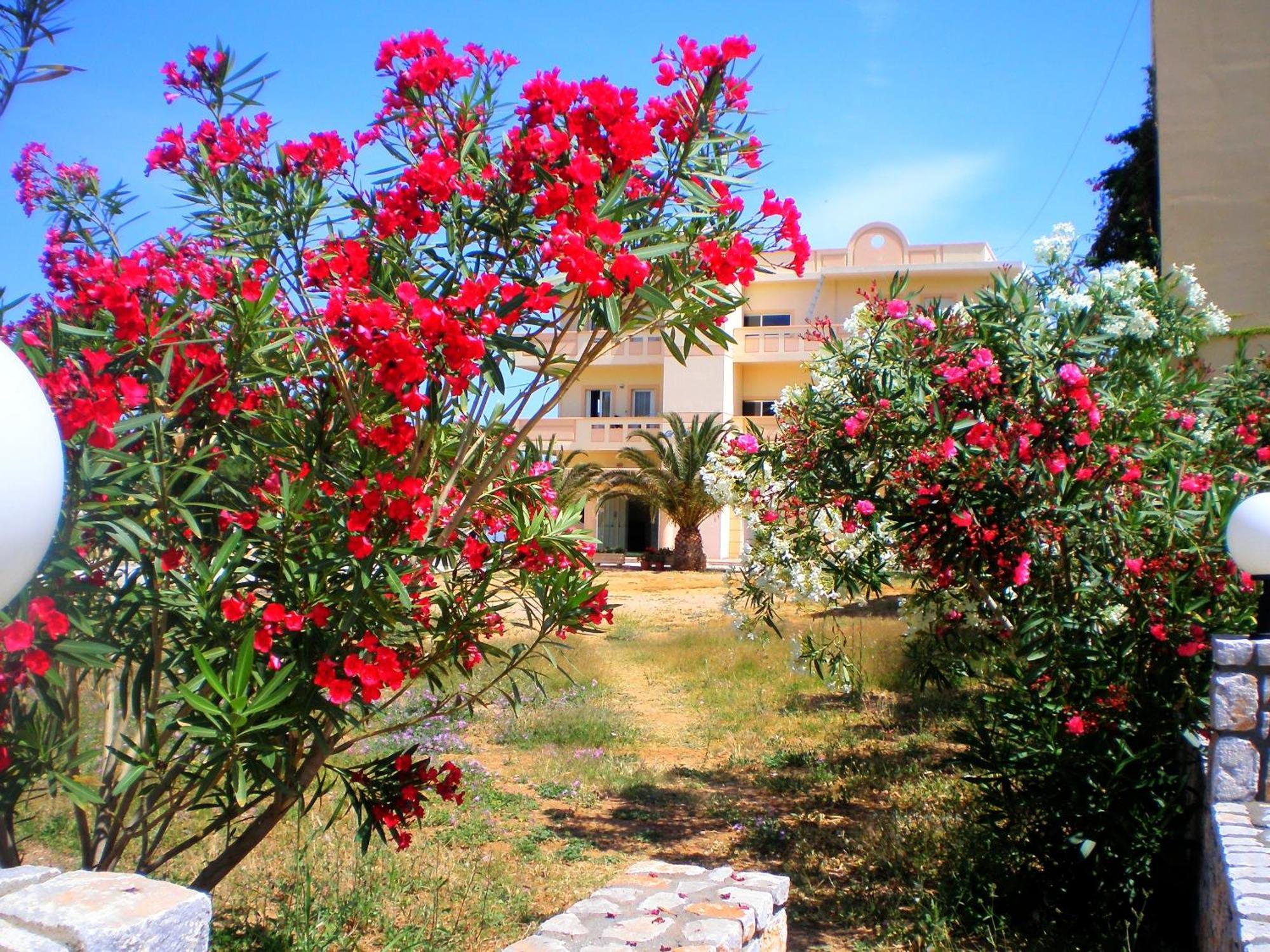 Galini Beach Hotel 키사모스 외부 사진